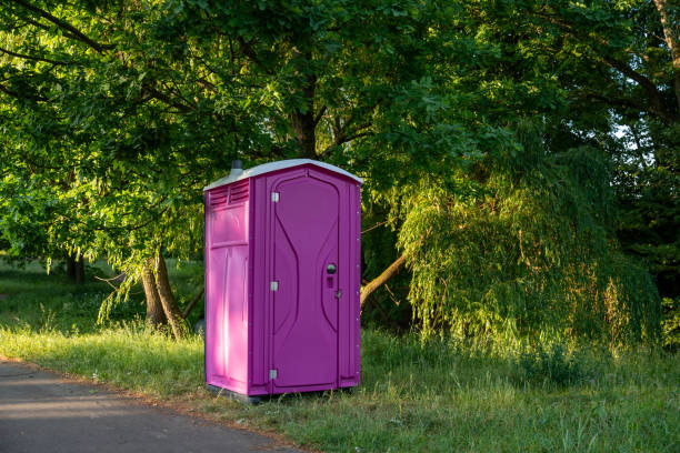 Portable Toilet Options We Offer in Hayti, MO